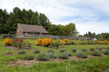 Marianmade Farm